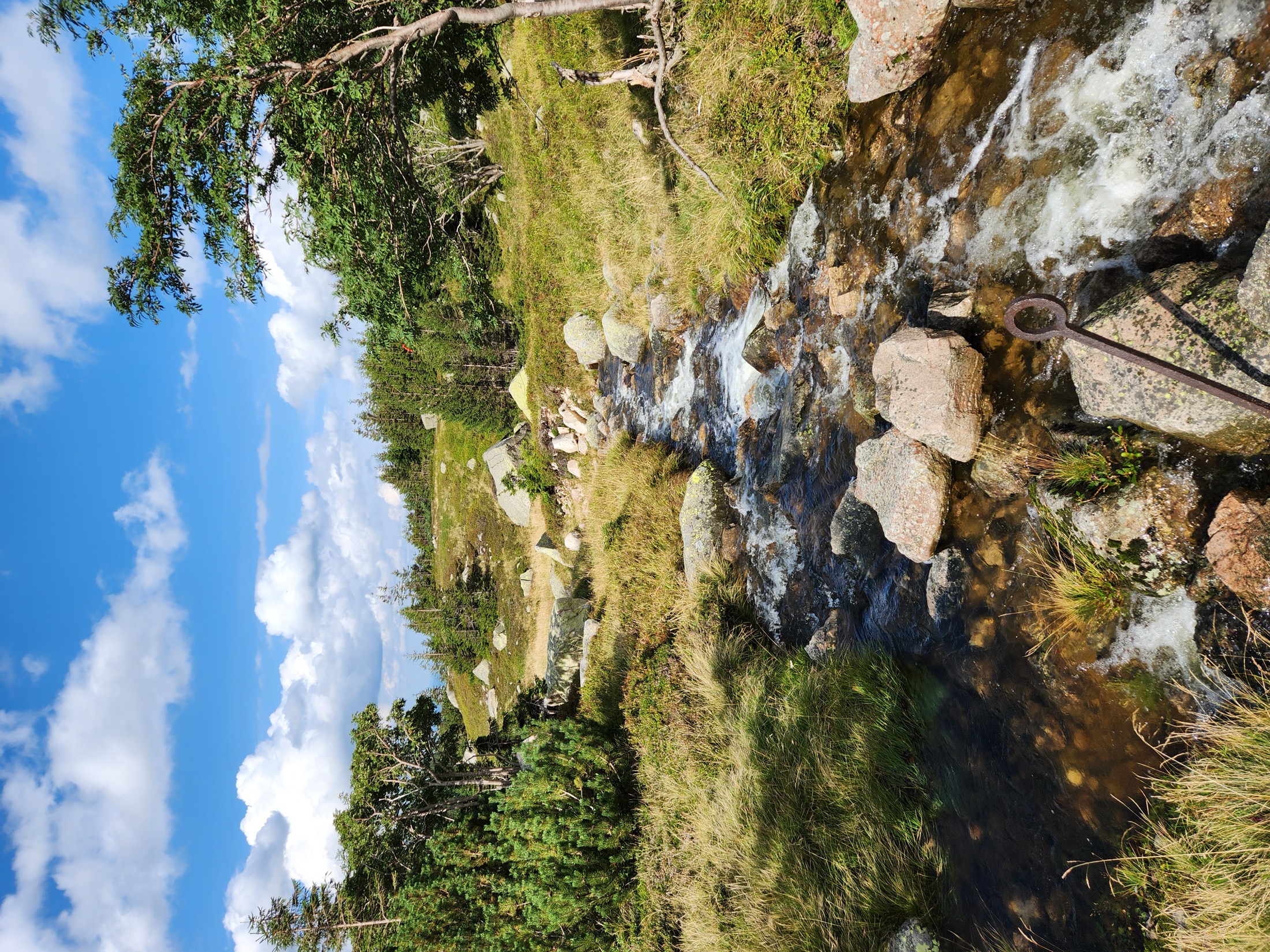 Clear mountain stream running through a forested Oregon landscape.