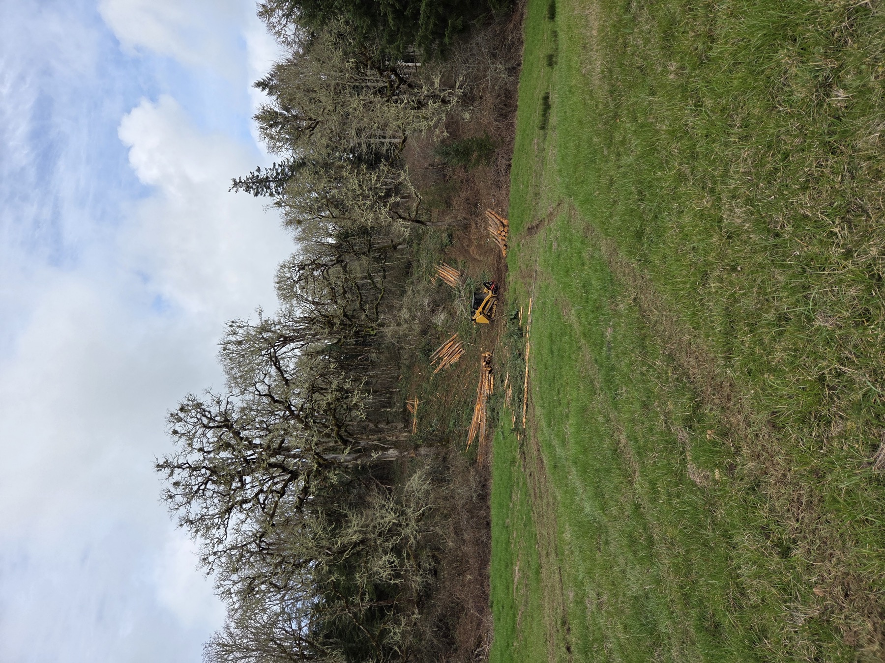 Forestry operations on rural land near a stand of trees.