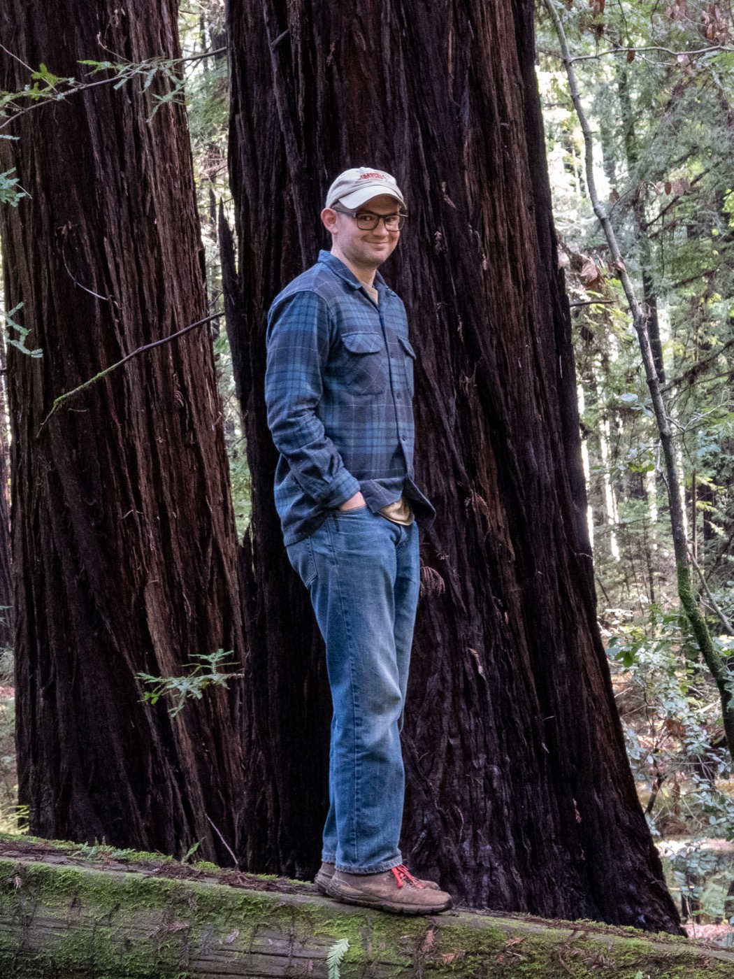 Beaver State Forestry owner standing among large redwood trees.